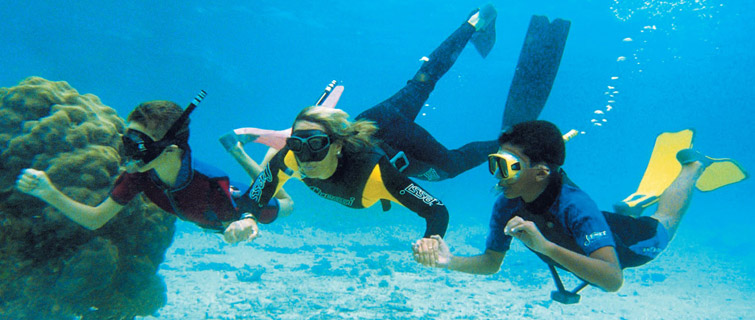 turismo buceo paracas reserva