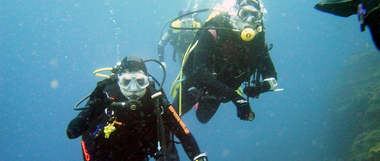 turismo deporte marino paracas reserva