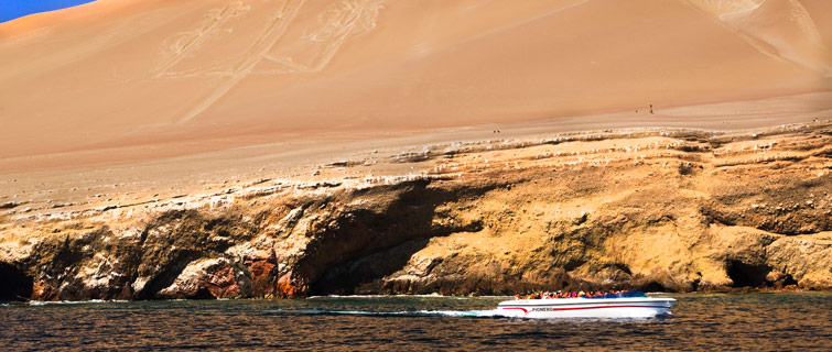 Tous islas ballestas lobo de mar ,turismo paracas, tours balbeario paracas Tous paracas islas ballestas balneario paracas ica peru