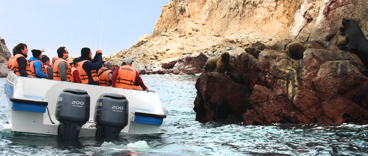 Tous islas ballestas lobo de mar ,turismo paracas, tours balbeario paracas Tous paracas islas ballestas balneario paracas ica peru