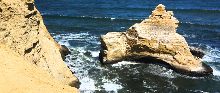 tours reserva paracas pisco peru
